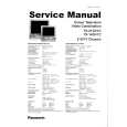 PANASONIC TX14GV1 Manual de Servicio