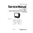 PANASONIC PVC1330W Manual de Usuario