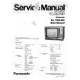 PANASONIC TC297NP Manual de Servicio