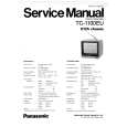 PANASONIC TC1100EU Manual de Servicio