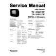 PANASONIC TX25AD1 Manual de Servicio