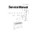 PANASONIC SXPX554 Manual de Servicio