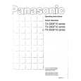 PANASONIC TX-25GF Manual de Usuario