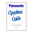 PANASONIC NV-FV1 Manual de Usuario