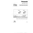 PANASONIC NV-DS29 Manual de Usuario