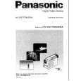PANASONIC NV-DS77 Manual de Usuario