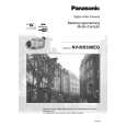 PANASONIC NVMX500EG Manual de Usuario
