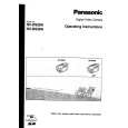 PANASONIC NVDS38A Manual de Usuario