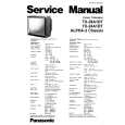 PANASONIC TX24A1DT Manual de Servicio