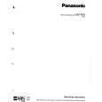 PANASONIC NVFS1 Manual de Usuario