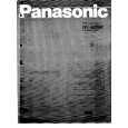 PANASONIC NVG202A Manual de Usuario