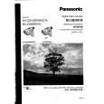 PANASONIC NVDS15A Manual de Usuario