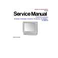 PANASONIC PVDM2093 Manual de Servicio