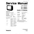PANASONIC TX25AD1DP Manual de Servicio