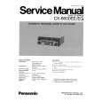 PANASONIC CX6600EE/EG Manual de Servicio