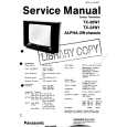PANASONIC TX24W1 Manual de Servicio