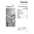 PANASONIC NVMV21GN Manual de Usuario